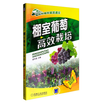 棚室葡萄高效栽培 pdf epub mobi 下载