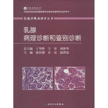 乳腺病理诊断和鉴别诊断 pdf epub mobi 下载