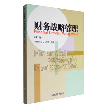 财务战略管理（第2版） pdf epub mobi 下载