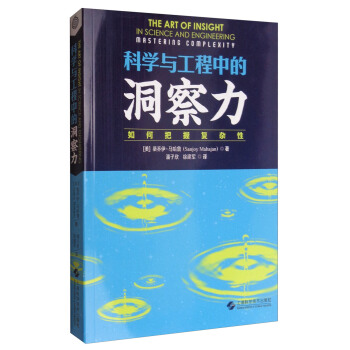 科学与工程中的洞察力：如何把握复杂性 [The Art of Insight in Science and Engineering Mastering Complexity] pdf epub mobi 下载