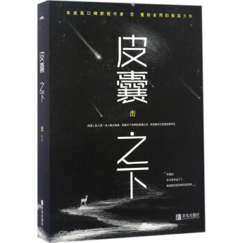 皮囊之下