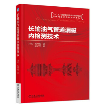 長輸油氣管道漏磁內檢測技術 pdf epub mobi 下载