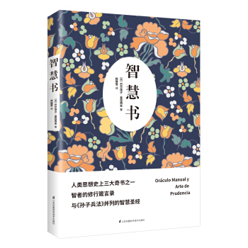 智慧书 pdf epub mobi 下载