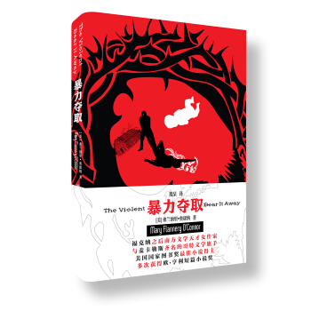 暴力夺取 pdf epub mobi 电子书 下载