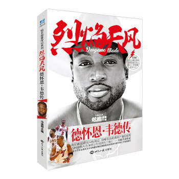 烈焰天風：德懷恩·韋德傳 pdf epub mobi 下载