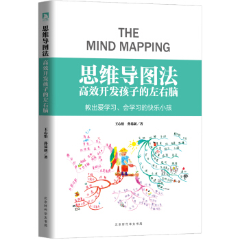 思维导图 : 高效开发孩子的左右脑 pdf epub mobi 下载