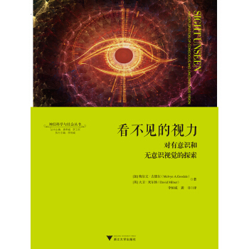 看不见的视力：对有意识和无意识视觉的探索 pdf epub mobi 下载