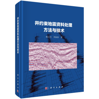 井約束地震資料處理方法與技術 pdf epub mobi 電子書 下載