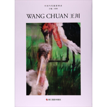 王川/中國當代攝影圖錄 pdf epub mobi 下载