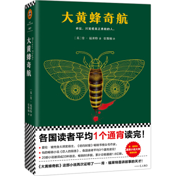肯·福莱特悬疑经典：大黄蜂奇航 pdf epub mobi 电子书 下载