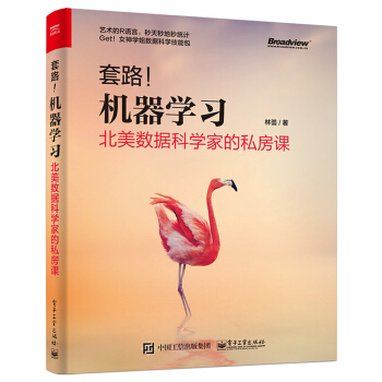 套路！機器學習：北美數據科學傢的私房課 pdf epub mobi 電子書 下載