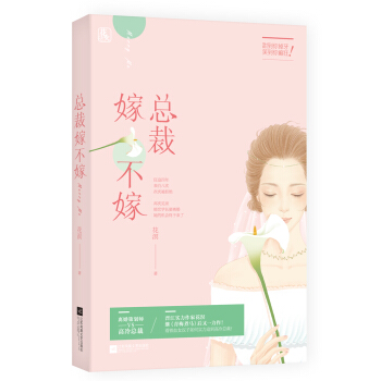 总裁嫁不嫁 pdf epub mobi 下载