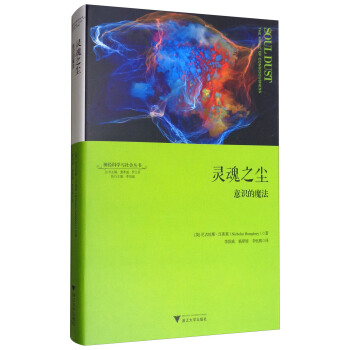 靈魂之塵：意識的魔法 pdf epub mobi 下载