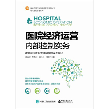 医院经济运营内部控制实务：建立现代医院管理制度的实现路径 pdf epub mobi 下载