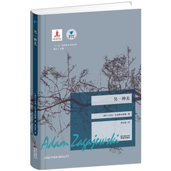 另一种美 pdf epub mobi 下载