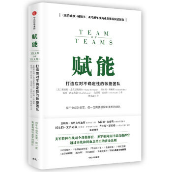 赋能：打造应对不确定性的敏捷团队 [Team of Teams] pdf epub mobi 下载