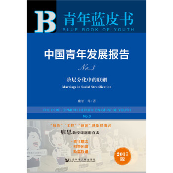 皮書係列·青年藍皮書：中國青年發展報告NO.3 pdf epub mobi 下载