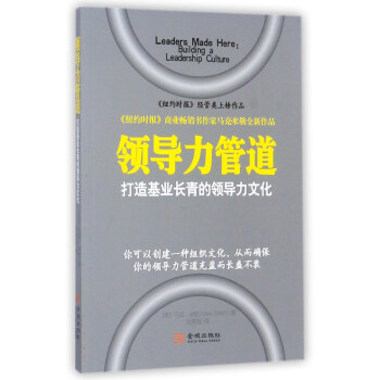 领导力管道：打造基业长青的领导力文化 [Leaders made here： building a leadership culture] pdf epub mobi 电子书 下载