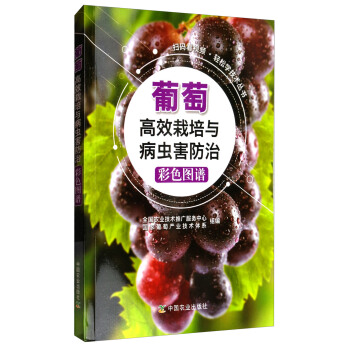 掃碼看視頻輕鬆學技術叢書：葡萄高效栽培與病蟲害防治彩色圖譜 pdf epub mobi 下载