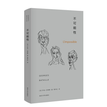 不可能性 pdf epub mobi 下载