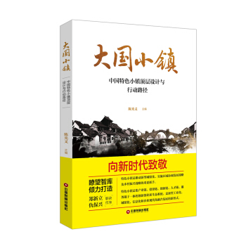大國小鎮：中國特色小鎮頂層設計與行動路徑 pdf epub mobi 下载
