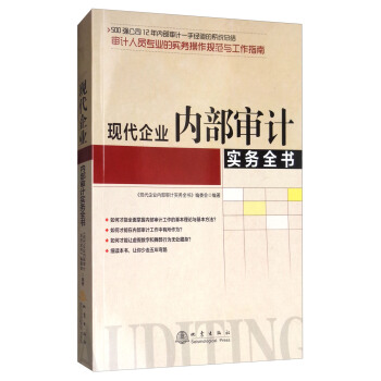 现代企业内部审计实务全书 pdf epub mobi 下载