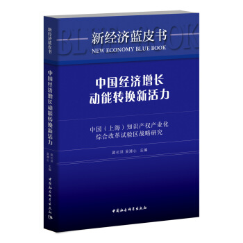 中国经济增长动能转换新活力：中国（上海）知识产权产业化综合改革试验区战略研究 pdf epub mobi 下载