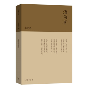 流金文丛：漂泊者 pdf epub mobi 下载