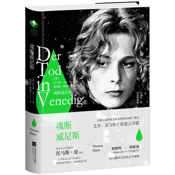 魂斷威尼斯 pdf epub mobi 電子書 下載