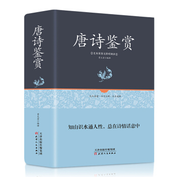 唐詩鑒賞 pdf epub mobi 下载