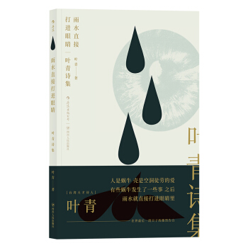 雨水直接打進眼睛：葉青詩集 pdf epub mobi 下载