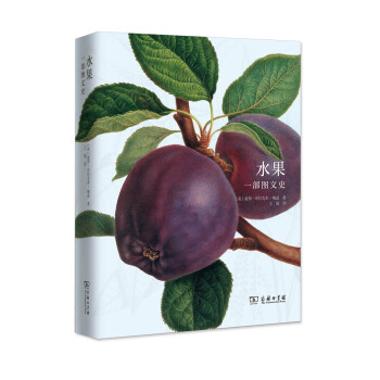 水果：一部圖文史 pdf epub mobi 下载