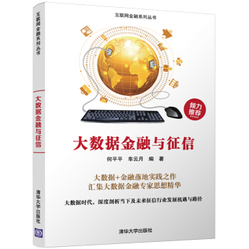 大數據金融與徵信/互聯網金融係列叢書 pdf epub mobi 電子書 下載