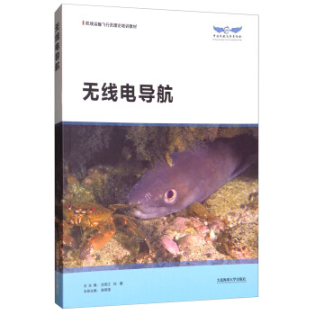 無綫電導航/航綫運輸飛行員理論培訓教材 pdf epub mobi 下载