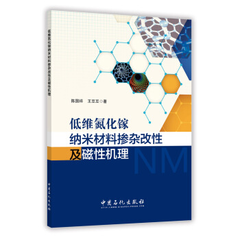 低维氮化镓纳米材料掺杂改性及磁性机理 pdf epub mobi 下载