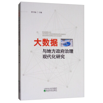 大数据与地方政府治理现代化研究 pdf epub mobi 下载