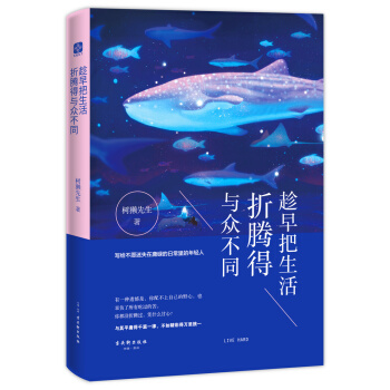 趁早把生活折腾得与众不同 pdf epub mobi 下载