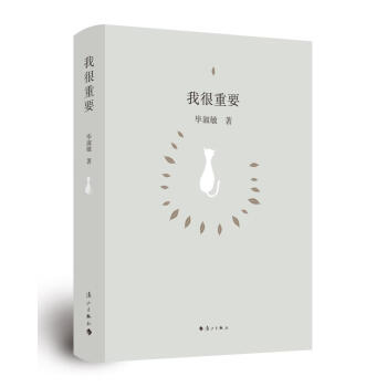 我很重要（精装） pdf epub mobi 下载