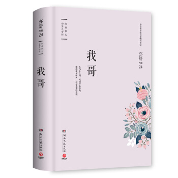 亦舒作品：我哥 pdf epub mobi 下载