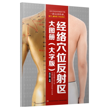 经络穴位反射区大图册（大字版） pdf epub mobi 下载