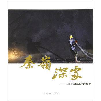 秦岭深处：2016引汉济渭影像 pdf epub mobi 下载