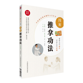 图解推拿功法（中医适宜技术操作入门丛书） pdf epub mobi 下载