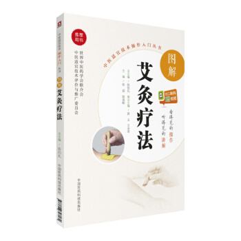 图解艾灸疗法（中医适宜技术操作入门丛书） pdf epub mobi 下载