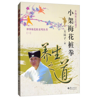 小架梅花桩拳：养生之道 pdf epub mobi 下载
