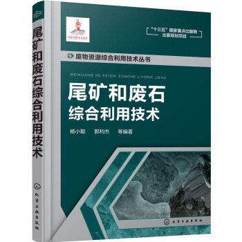 廢物資源綜閤利用技術叢書--尾礦和廢石綜閤利用技術 pdf epub mobi 電子書 下載