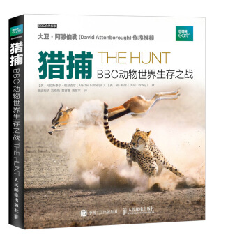 獵捕 BBC動物世界生存之戰 pdf epub mobi 下载