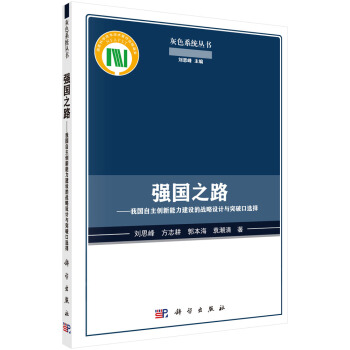 强国之路：我国自主创新能力建设的战略设计与突破口选择 pdf epub mobi 下载