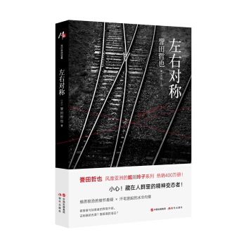 左右对称 pdf epub mobi 电子书 下载
