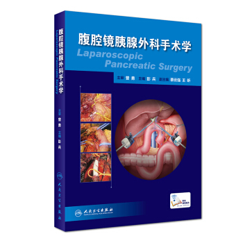 腹腔镜胰腺外科手术学 pdf epub mobi 下载