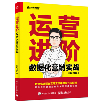 运营进阶：数据化营销实战 pdf epub mobi 下载